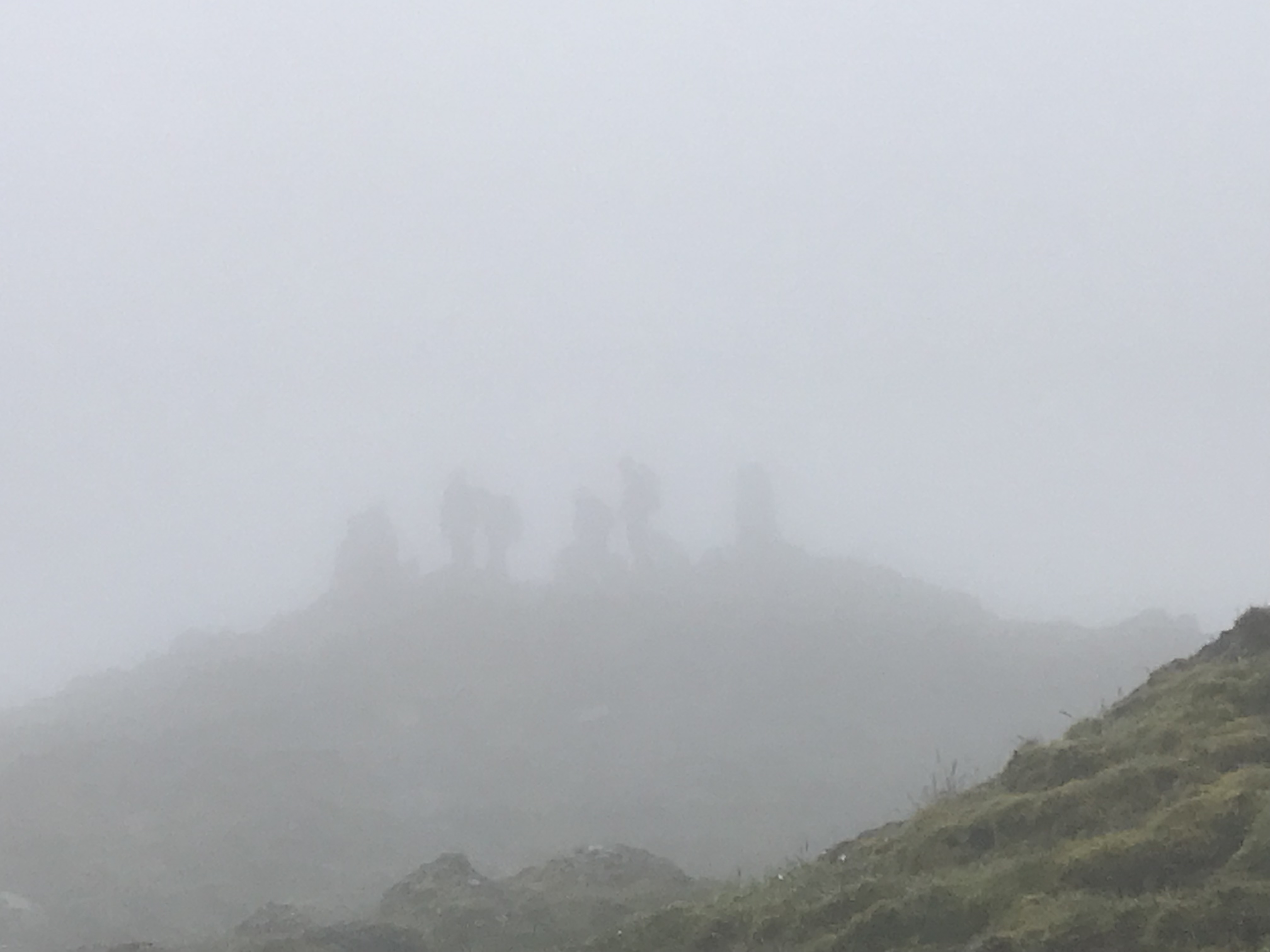 Part of Group through the mist?