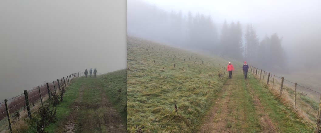 Misty descent by the Walker Burn