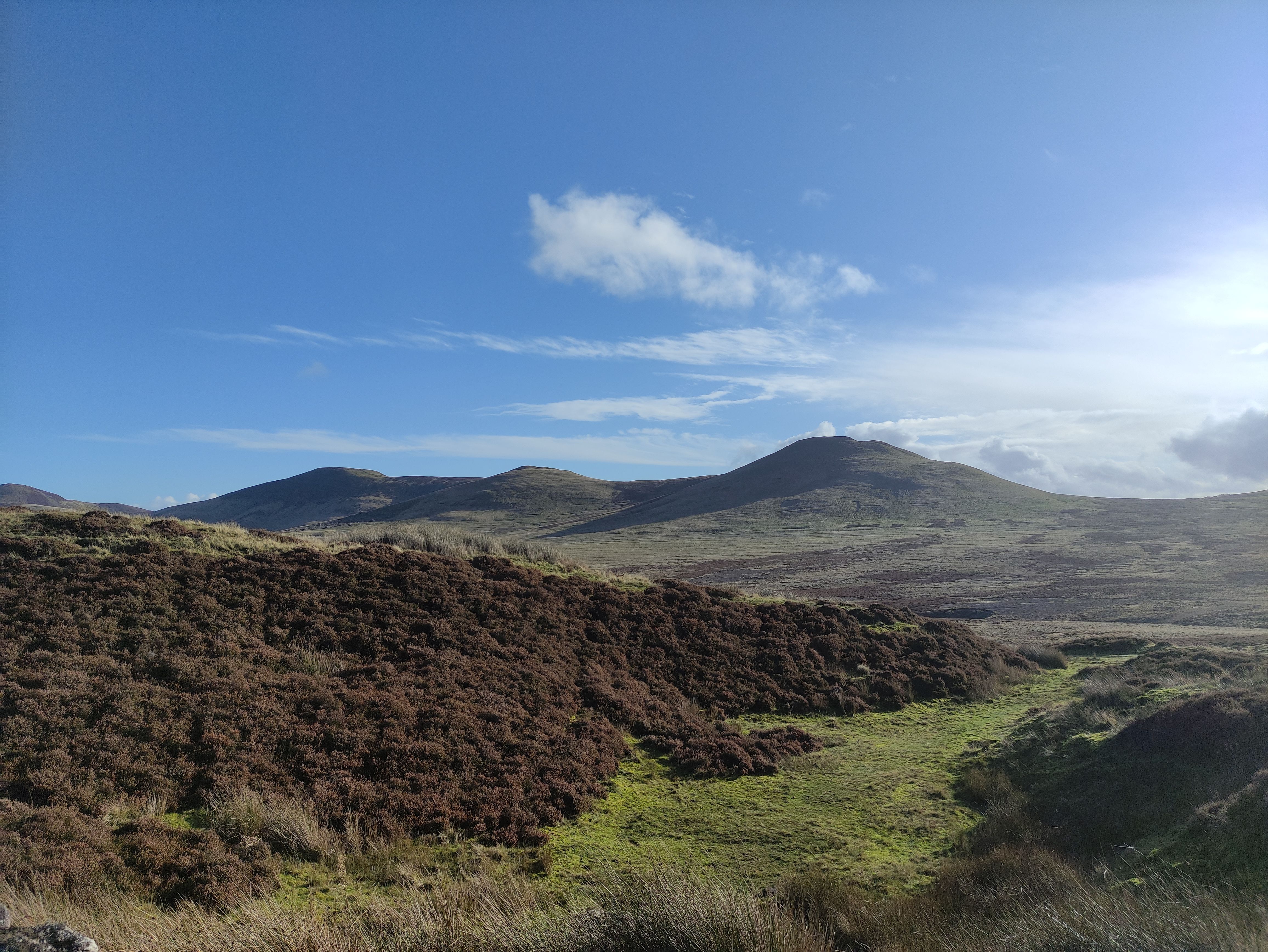 West Kip, East Kip and Scald Law