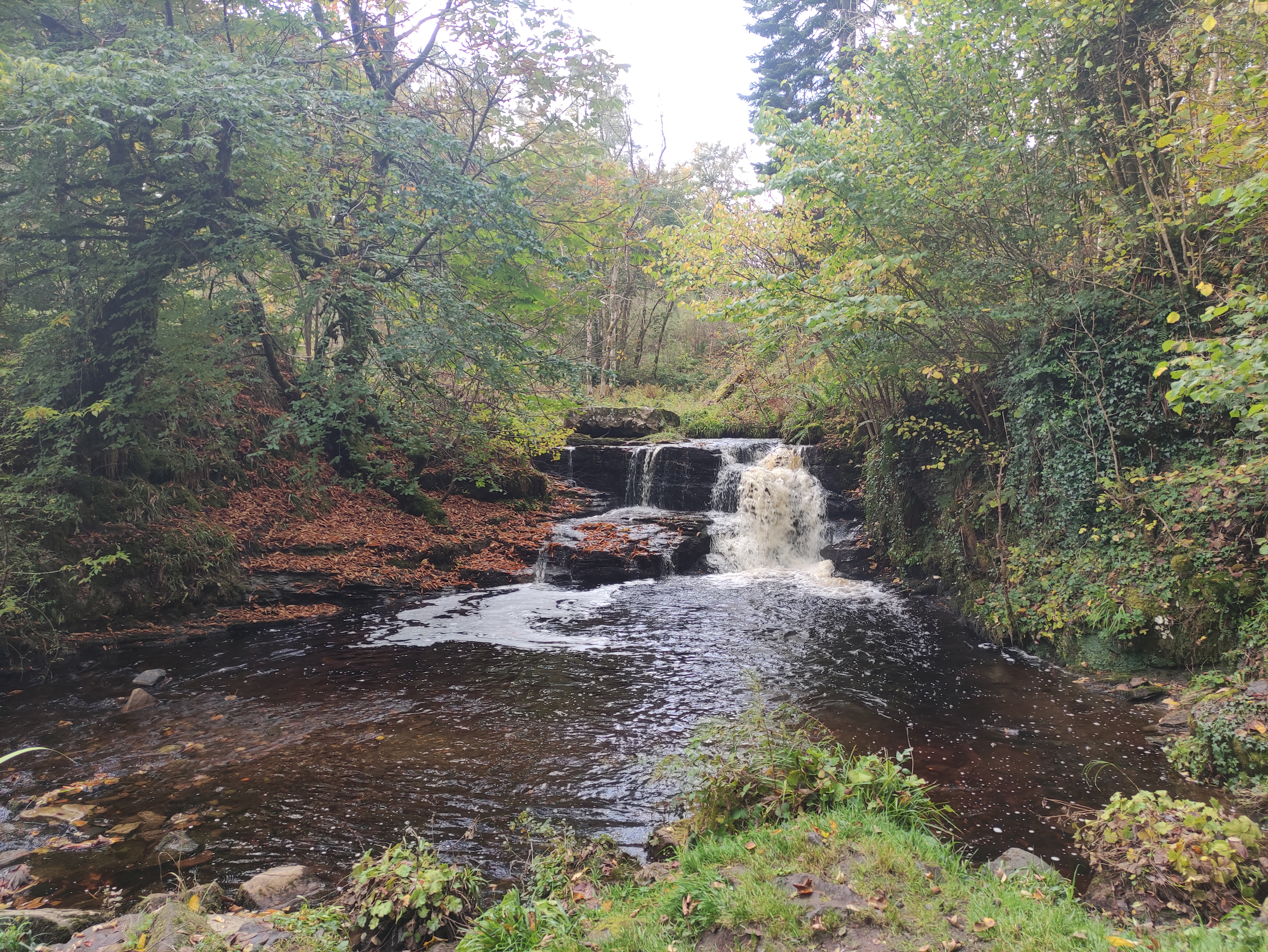 Peggy's Pool