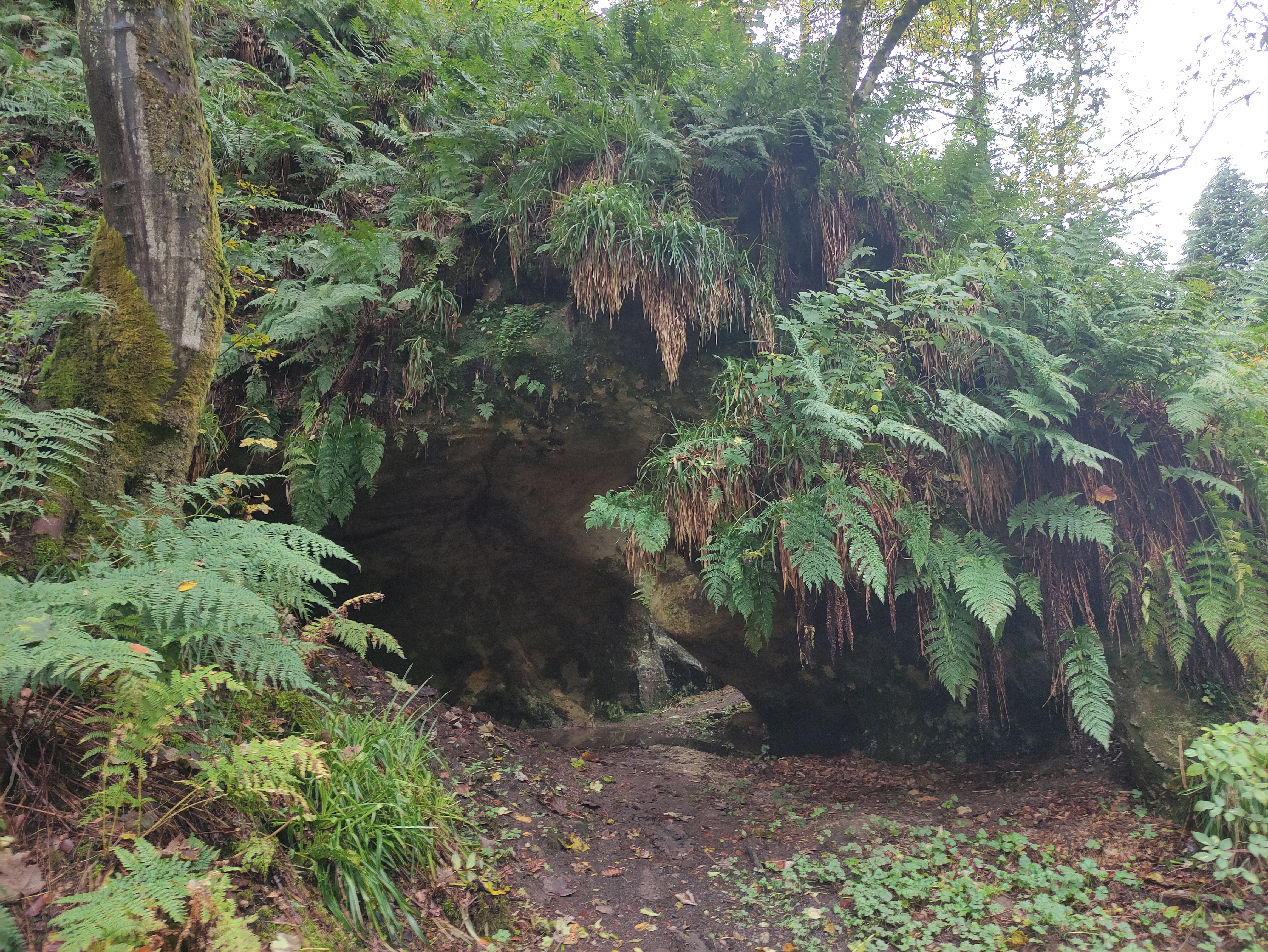 Grotto