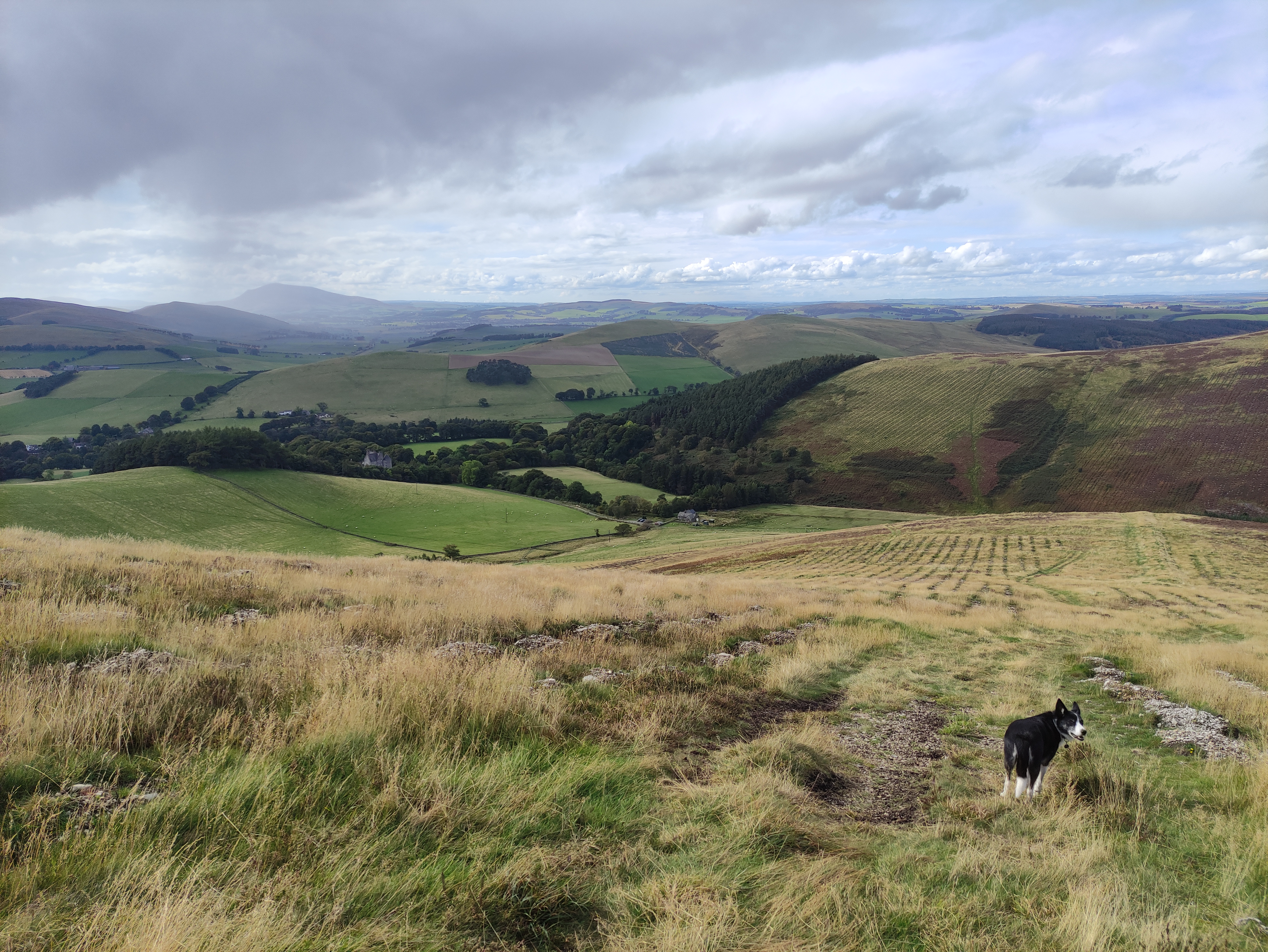 Descent from Cat Cleuch Head