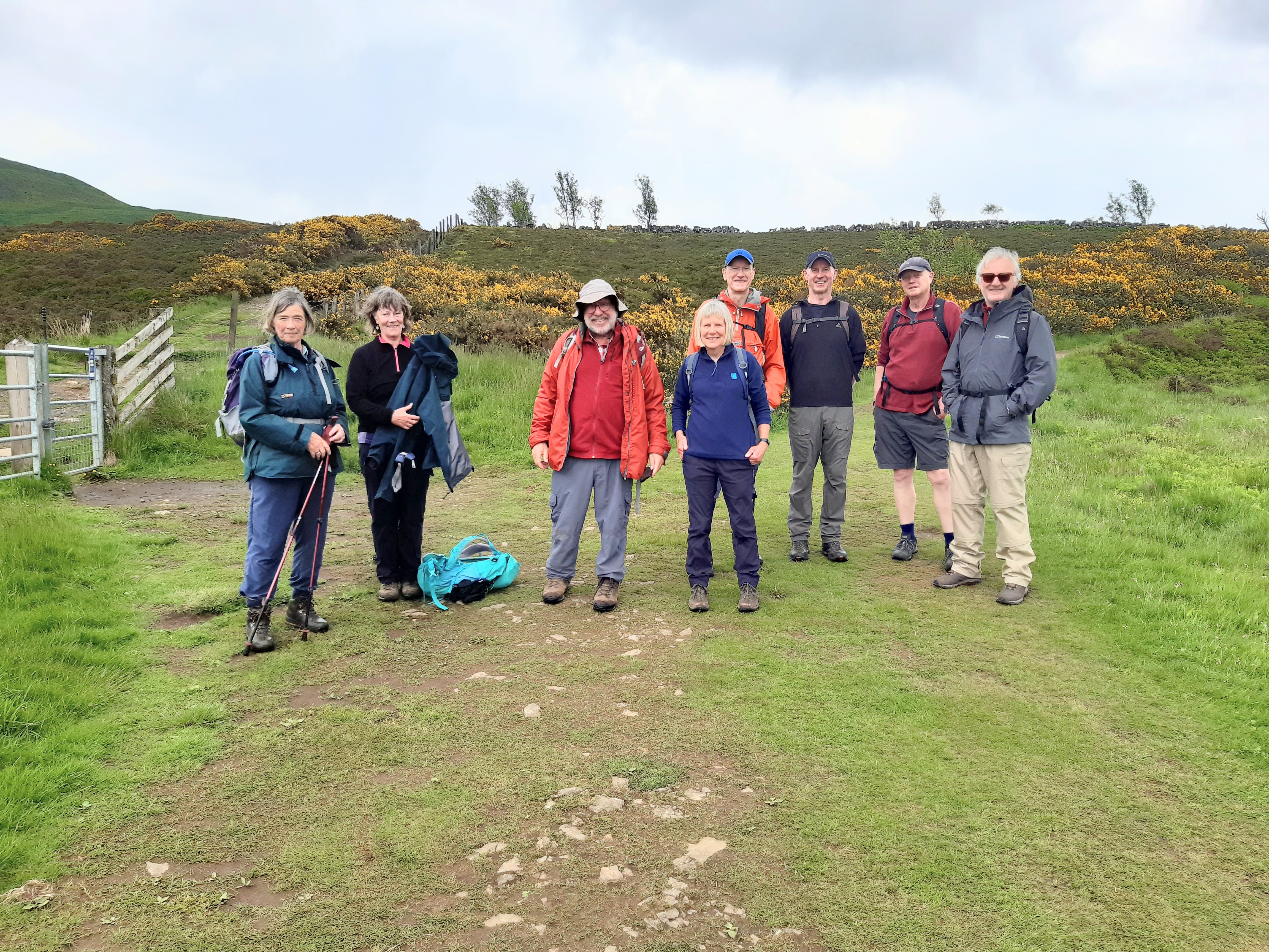 Gorse on way down