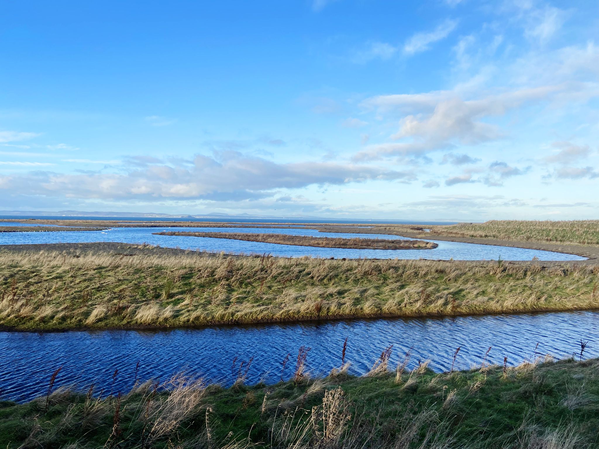 Levenhall Lagoons (created with ash from the Cockenzie Power Station) – superb video on WhatsApp Marauders chat from Andrew T