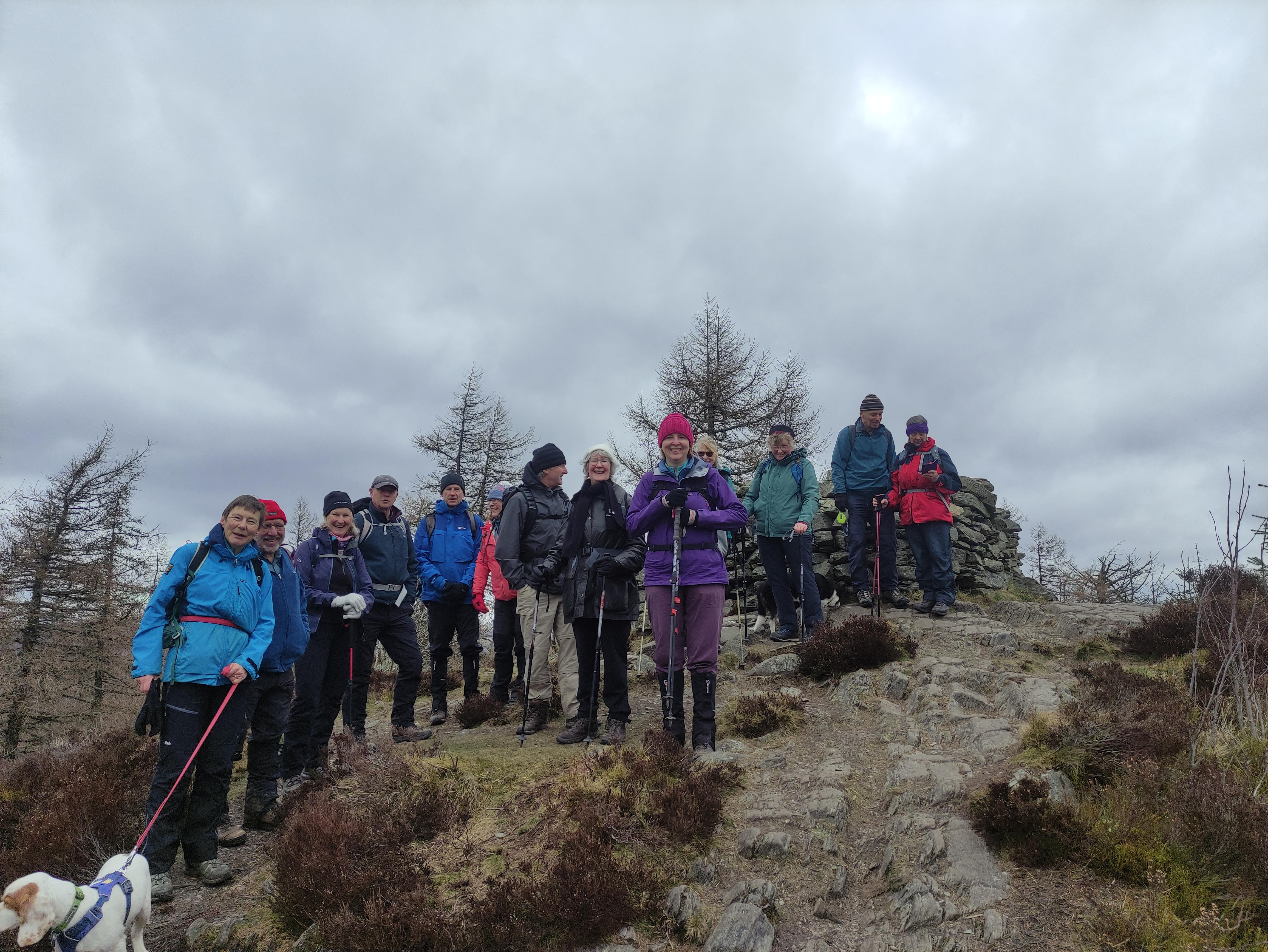 Frosty Birnam Hill summit