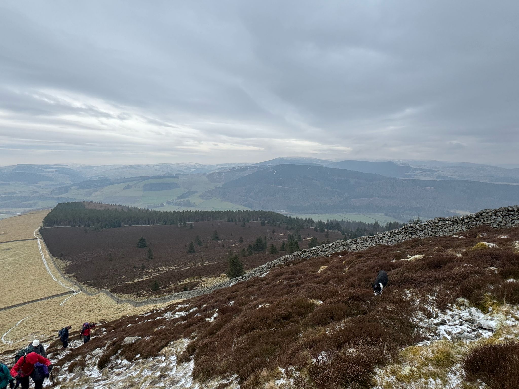 South slope of Lee Pen