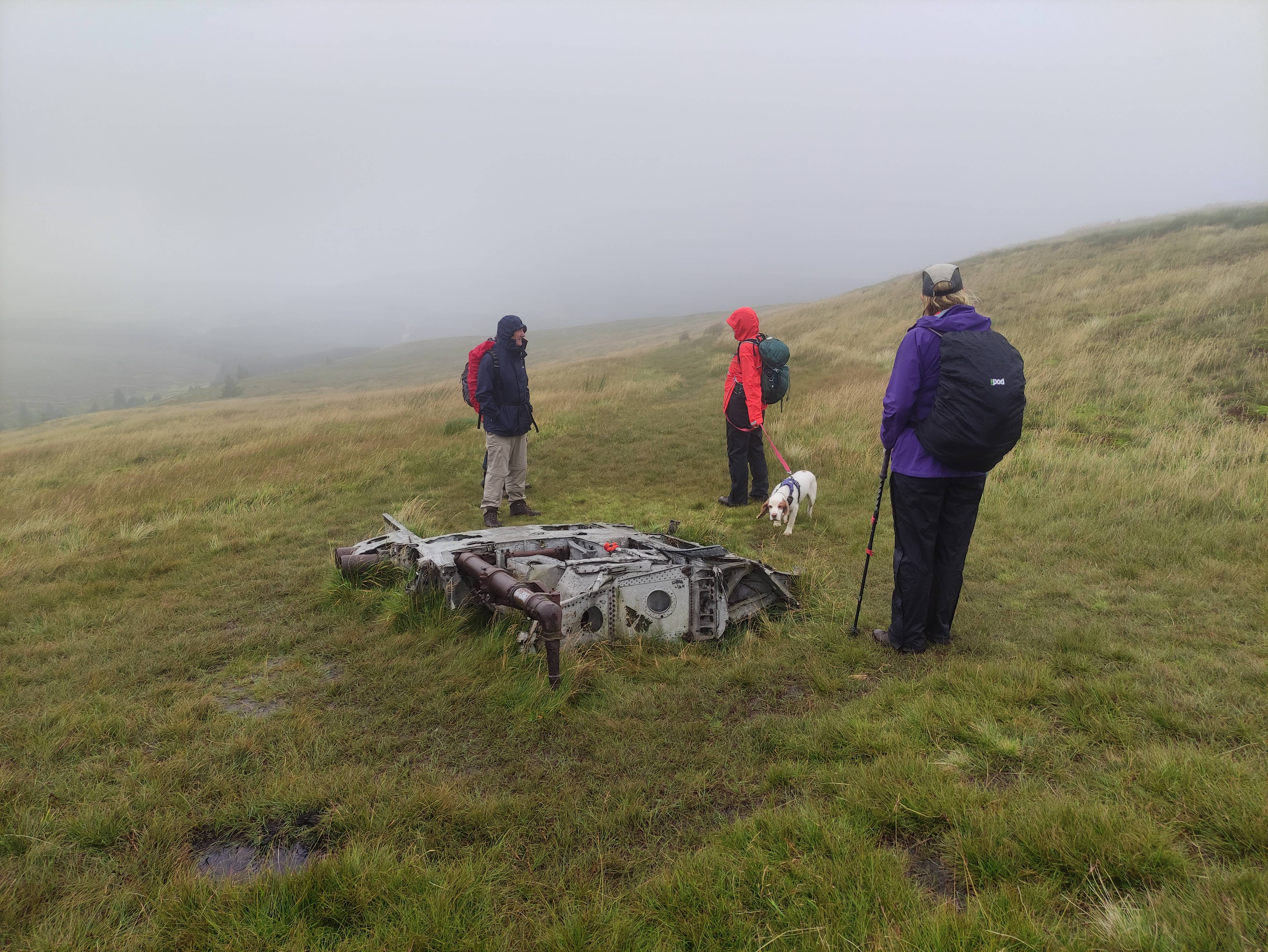 wreckage of a Fairey Firefly FR Mk 1
