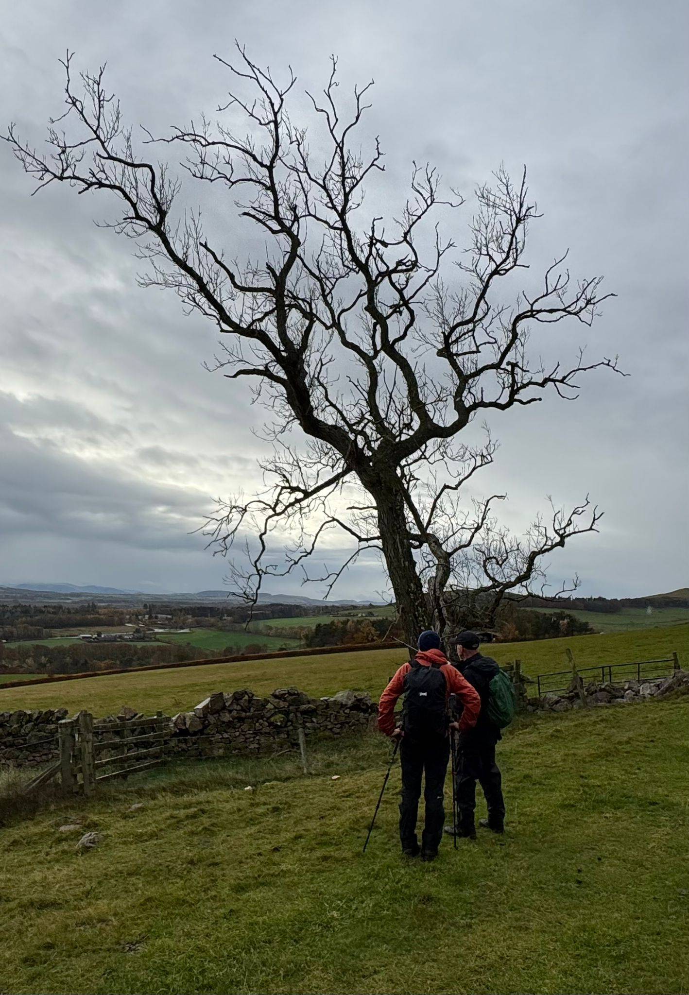 Passing Castle Knowe