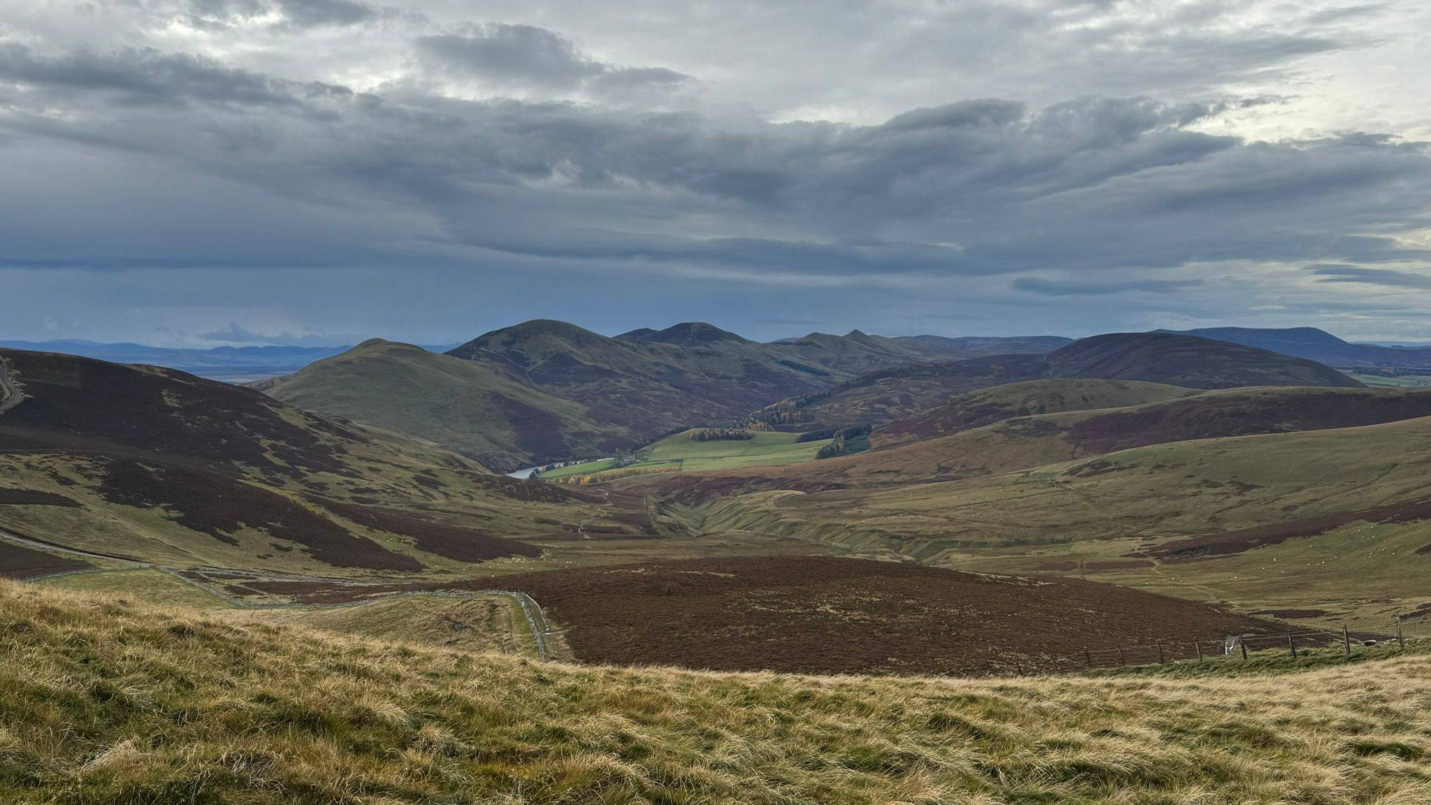 Looking south from Allermuir