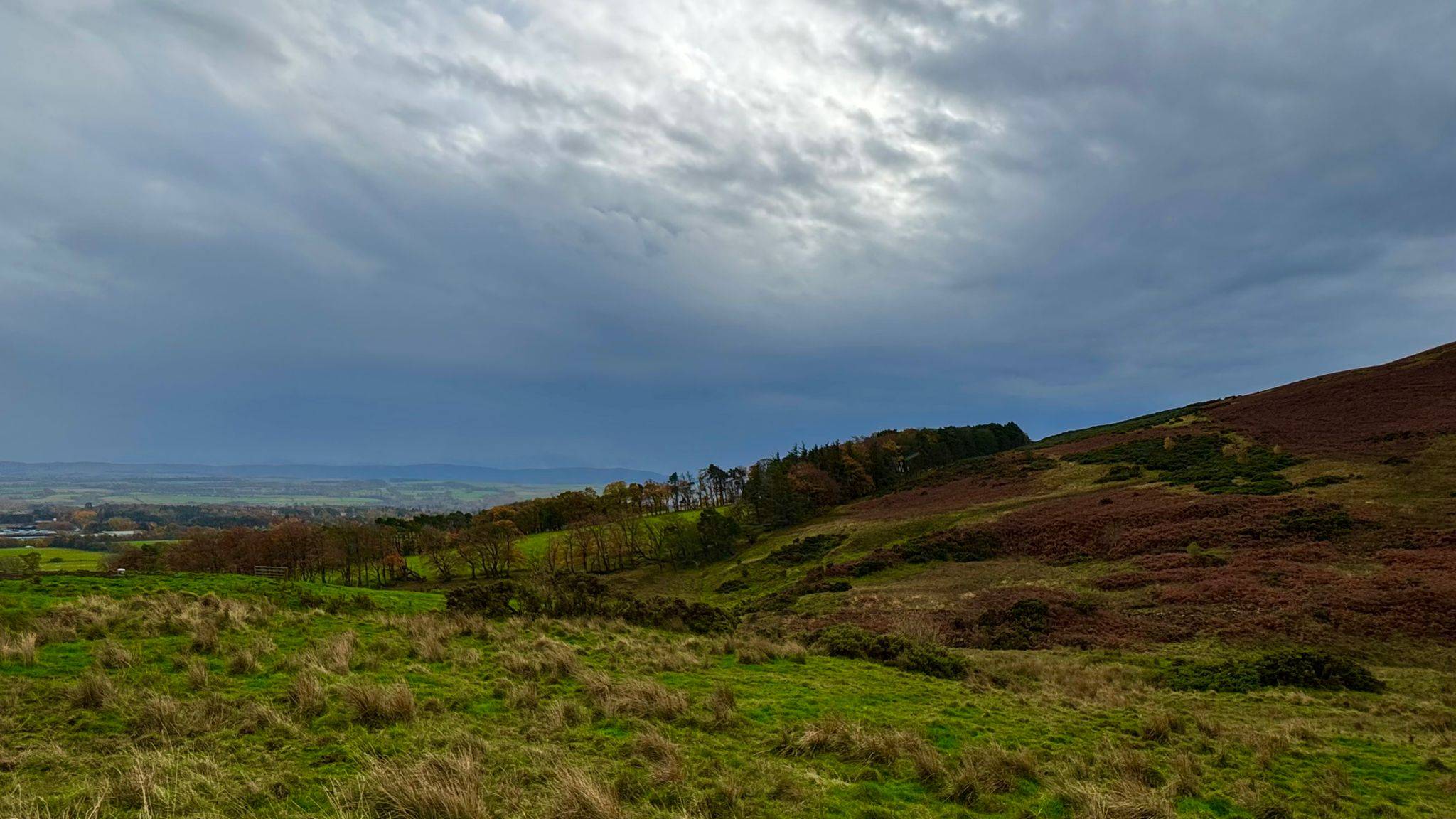 Descent above Boghall Burn