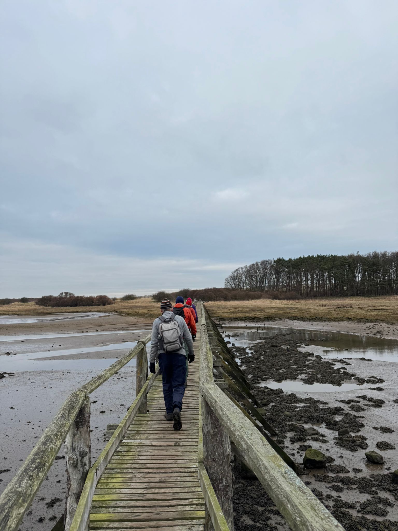 Aberlady Bay – non dog walkers head to Nature Reserve