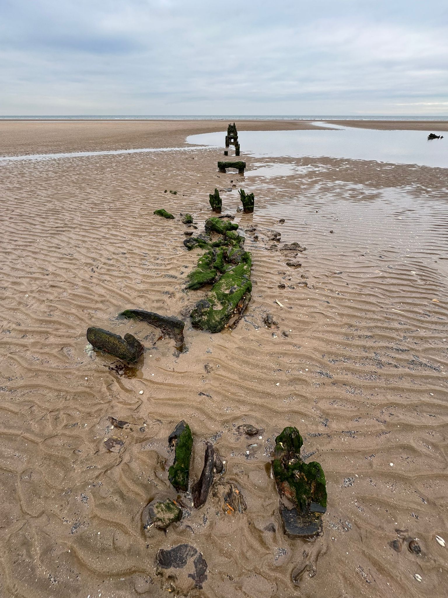 Looking north to Forth Estuary