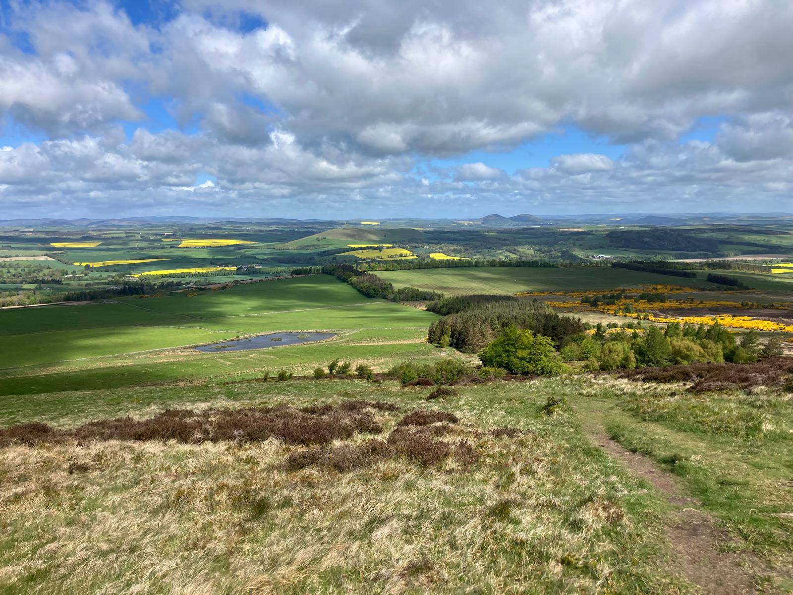 Eildons