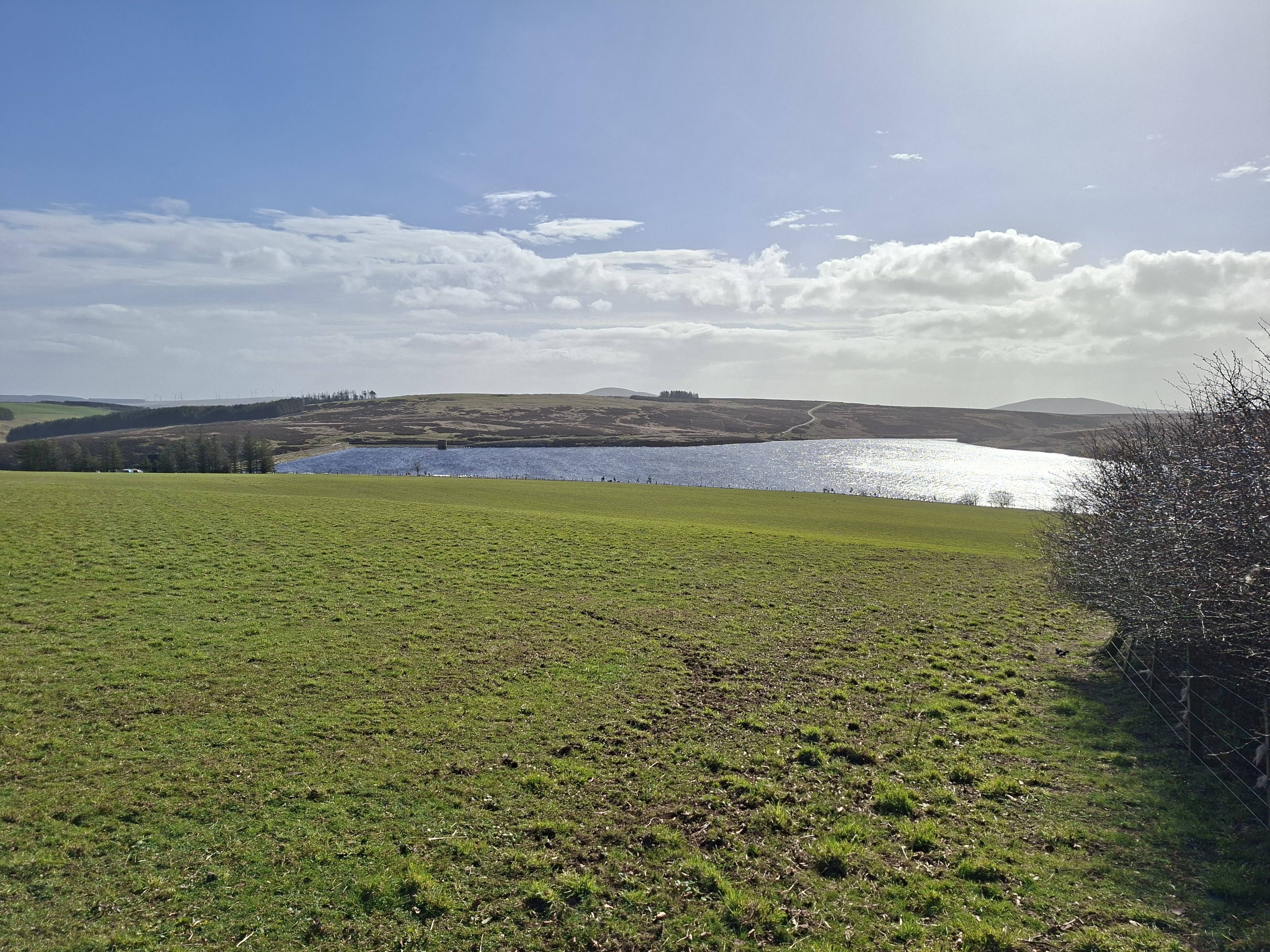 Watch Water Reservoir